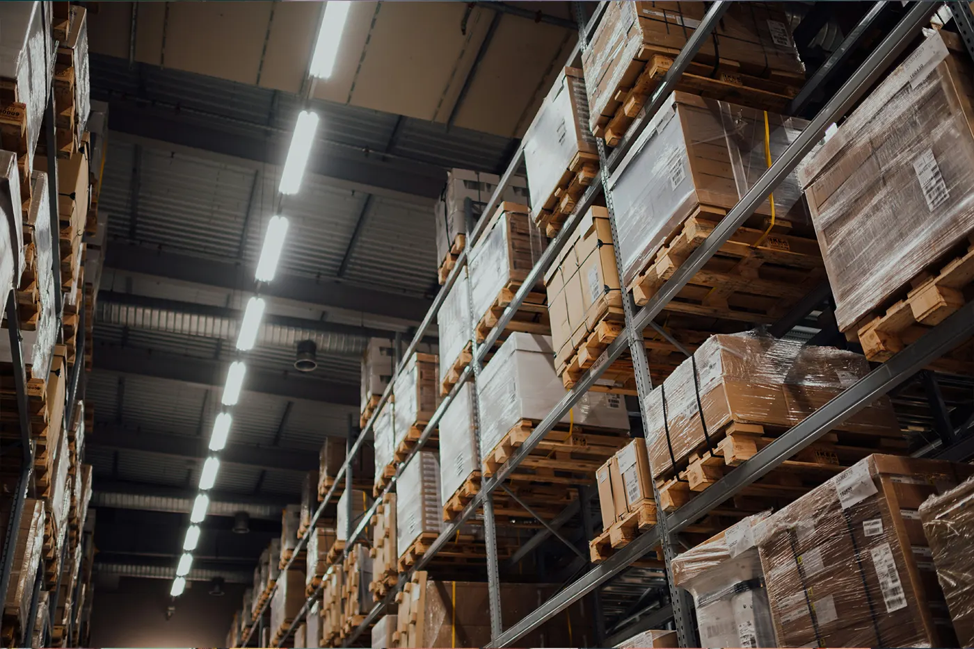 logistic sepas holding